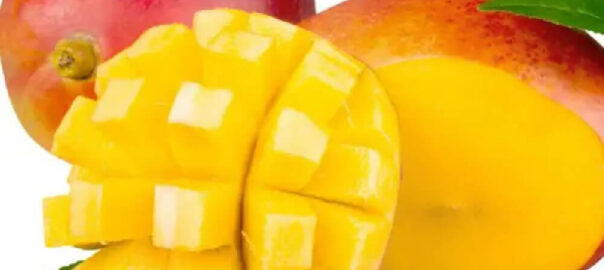 mango-import-1buc