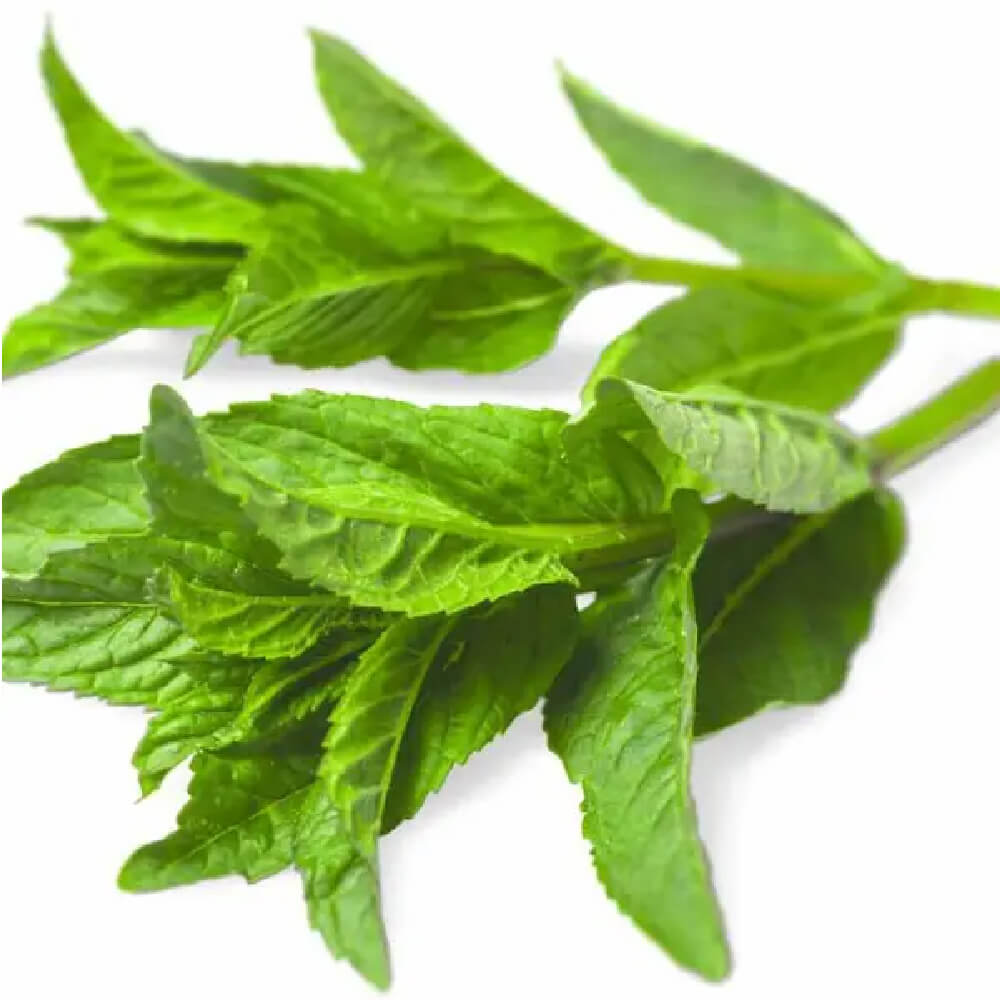 menta-romania-caserola-100g