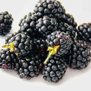 mure-romania-caserola-125g