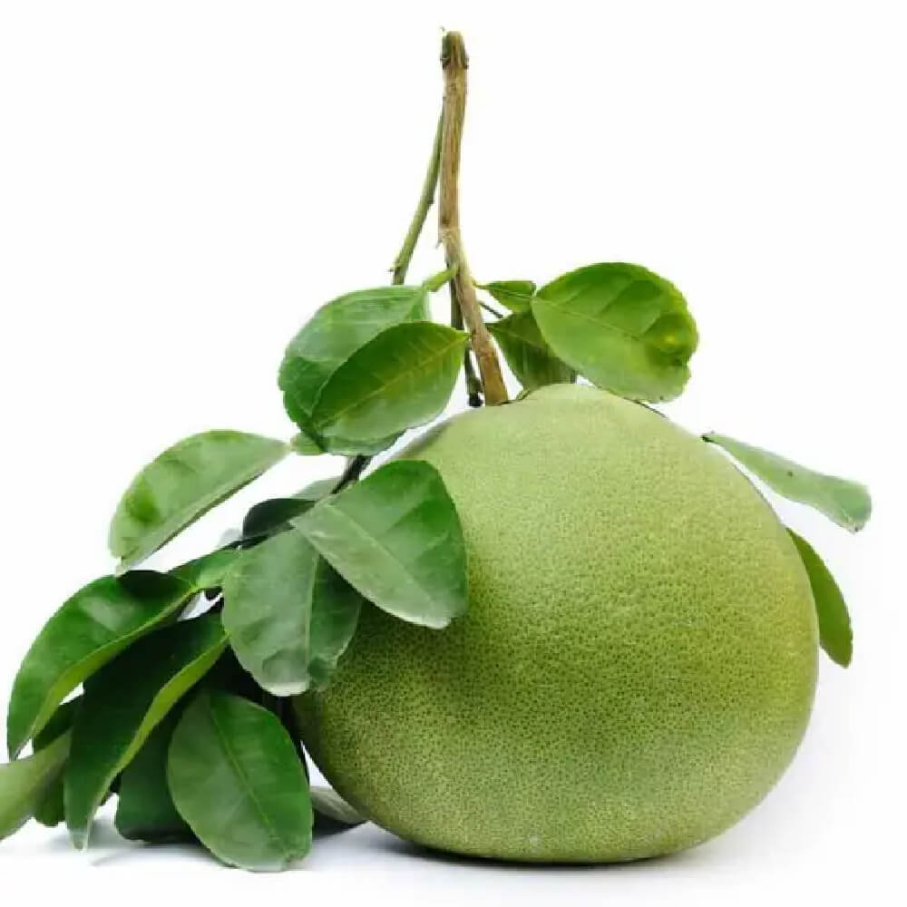 pomelo-import-1buc